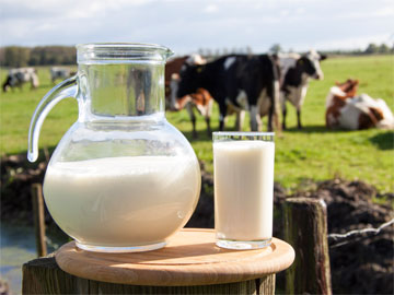 破除鮮乳添加食安謠言 認識鮮乳製造流程
